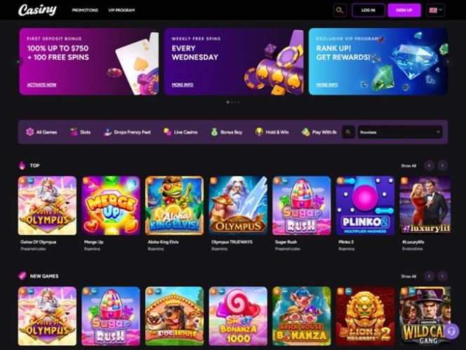 Discover Excitement at Casiny Casino A Premier Gaming Destination
