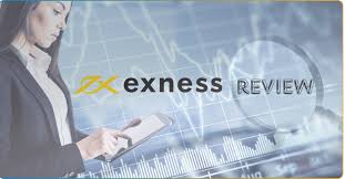 Unveiling the Exness Owner Insights into the Leadership Behind the Forex Giant Unveiling the Exness Owner Insights into the Leadership Behind the Forex Giant