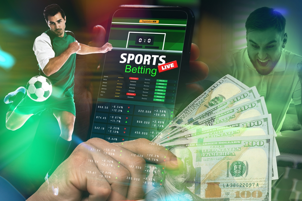 Betwinner India Your Ultimate Guide to Online Betting