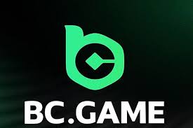 Maximize Your Wins BC Game Promo Codes Explained Maximize Your Wins BC Game Promo Codes Explained